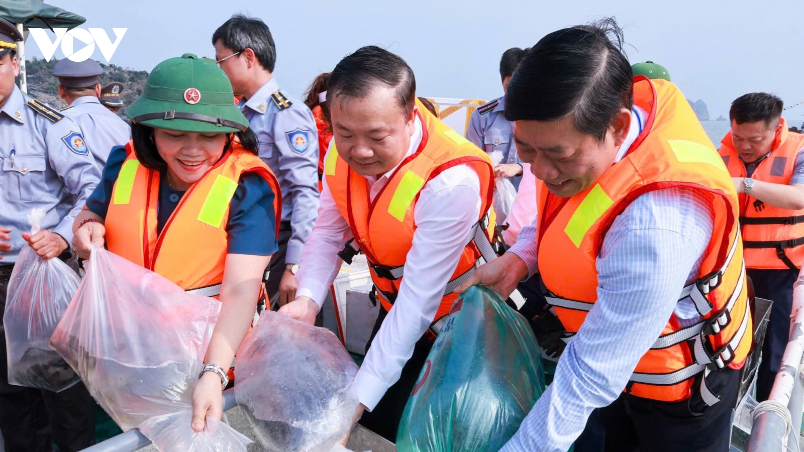 Hải Phòng: Thả hơn 1,3 triệu con giống tái tạo nguồn lợi thuỷ sản